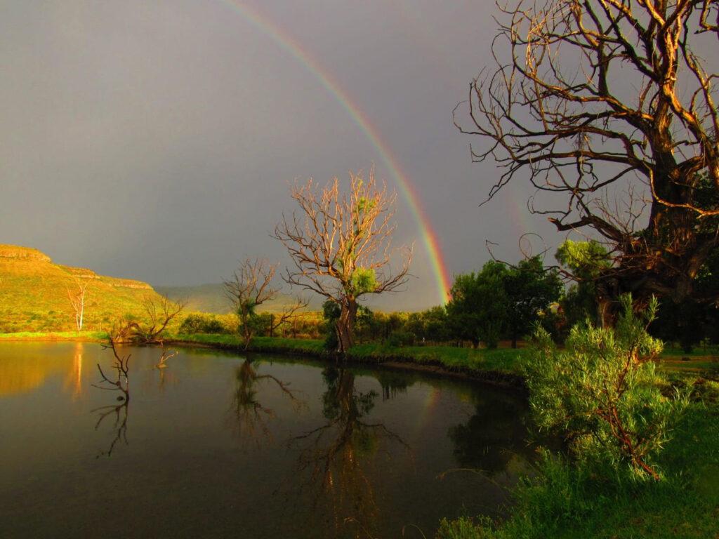 EXPERIENCE NATURE ON Van der Waltshoek farm