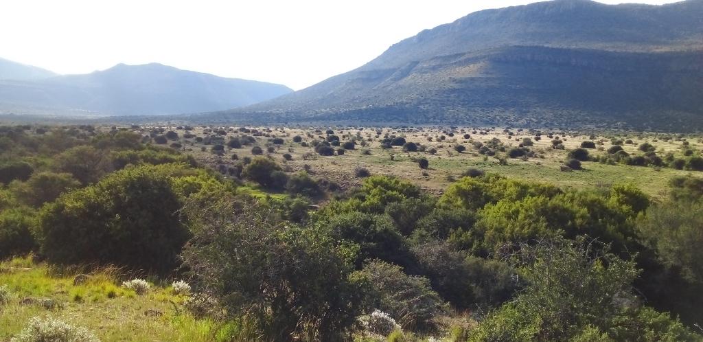 Natural beauty of the Camdeboo